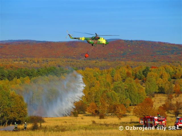 Lesný požiar počas cvičenia Fire Rescue 2019