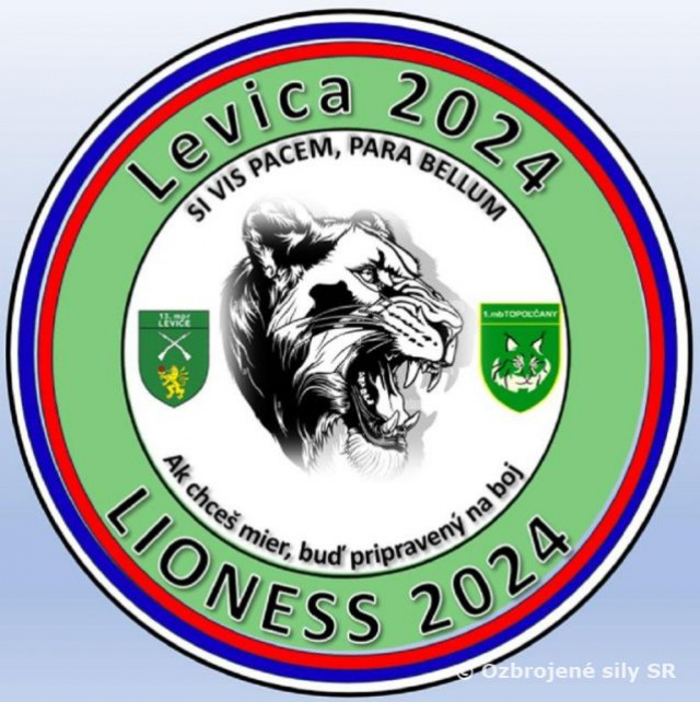 13. ťažká mechanizovaná práporová skupina počas „LIONESS 2024“ 
