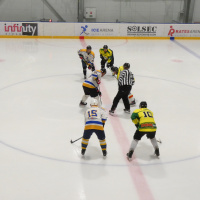 Fighter cup 2026